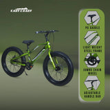 DOPE 20T Kids Fat Bike With Dual Disc Brakes - Green Color