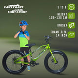 DOPE 20T Kids Fat Bike With Dual Disc Brakes - Green Color