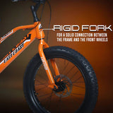 DOPE 20T Kids Fat Bike With Dual Disc Brakes - Orange Color